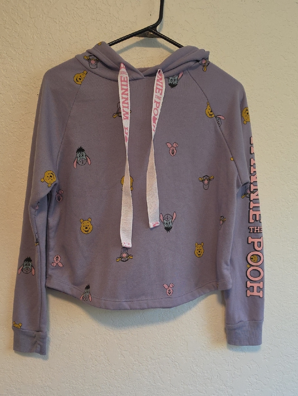 Disney Lavender Pooh Crop Top Pull Over
